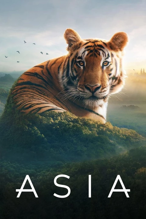 Phim Asia 2024 Asia 2024