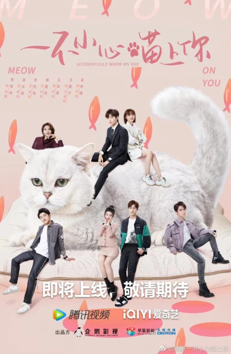 Phim Bất Cẩn Meow Phải Anh 2022 Bất Cẩn Meow Phải Anh 2022