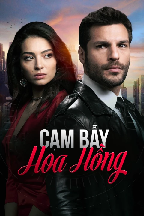 Phim Cạm Bẫy Hoa Hồng 2020 Cạm Bẫy Hoa Hồng 2020