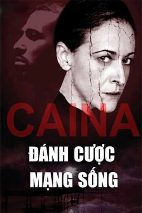 Phim Đánh Cược Mạng Sống 2015 Đánh Cược Mạng Sống 2015