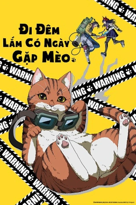 Đi Đêm Lắm Có Ngày Gặp Mèo 2025