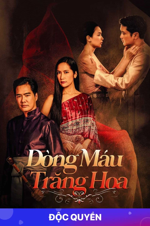 Phim Dòng Máu Trăng Hoa 2022 Dòng Máu Trăng Hoa 2022