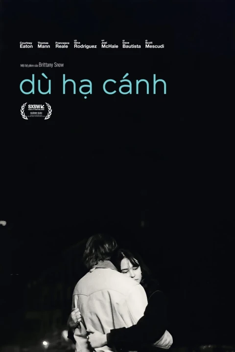 Dù hạ cánh 2024