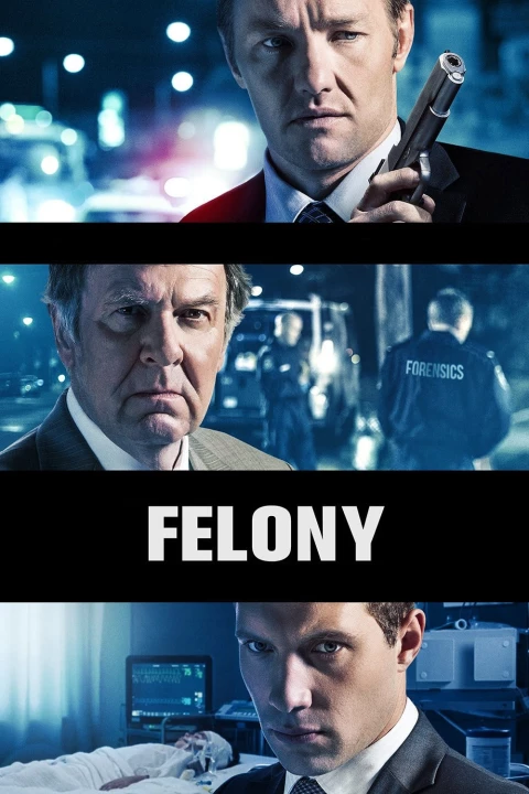 Phim Felony 2013 Felony 2013