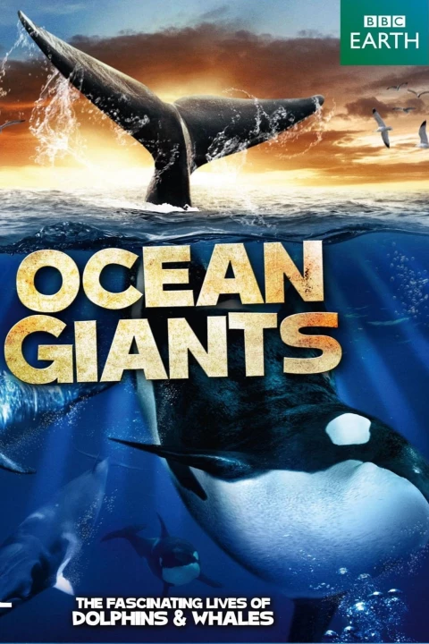 Phim Ocean Giants 2011 Ocean Giants 2011