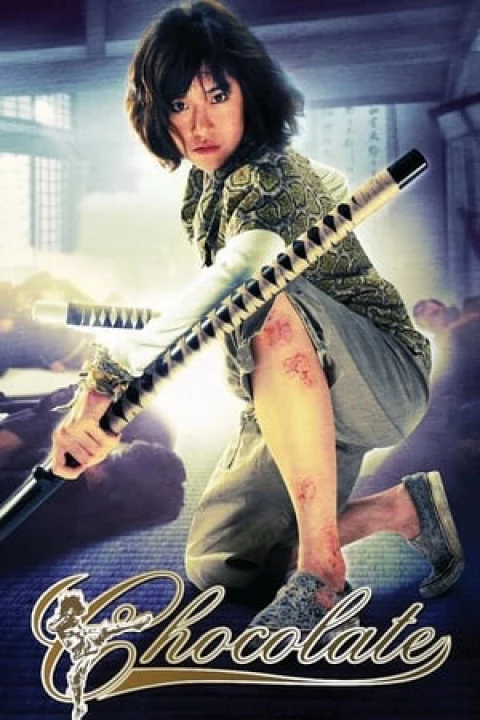 Phim Quyền Cước Thượng Đẳng 2008 Quyền Cước Thượng Đẳng 2008