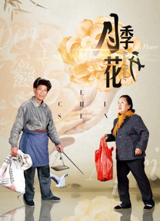Phim Tầm xuân nở 2017 Tầm xuân nở 2017
