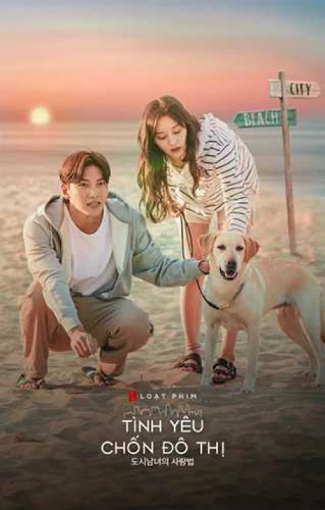 Phim Tình Yêu Chốn Đô Thị 2019 Tình Yêu Chốn Đô Thị 2019