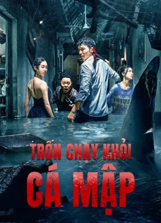 Phim Trốn Chạy Khỏi Cá Mập 2021 Trốn Chạy Khỏi Cá Mập 2021
